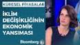 İnternetin Gücü: Küresel Bir Devrim ile ilgili video