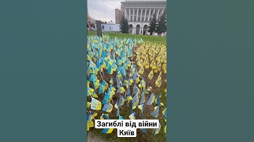 Thumbnail of Кожен прапор це знайома загибла людина. Київ Україна 🇺🇦