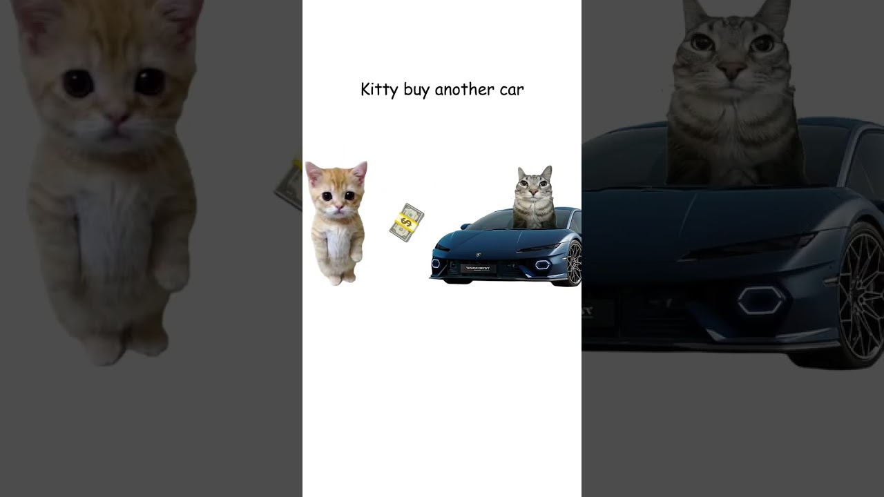 owning a V10 engine explained by cats 