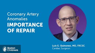 The importance of functioning coronary arteries | Boston Children’s Hospital