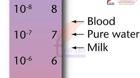 Class 7 Science Chapter 5 Acids, Bases and Salts - Neutralization.