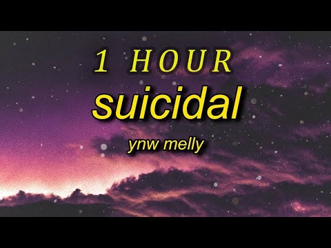 Ynw Melly - Suicidal I Swear To God You Stupid B