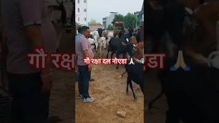 Khane ke kiye sab bhag pade😁#saveanimals #feedshort #animals #gaumata #sanatandharma #shorts #viral