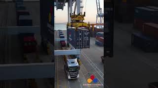 International Freight Forwarding Co., Ltd.