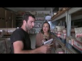 Vidéothèque