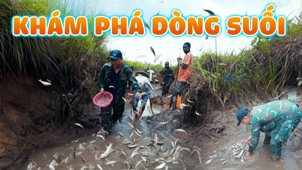 Đình Thế Vlogs ||  Khám Phá Dòng Suối Mới, Toàn Cá Là Cá.,,,,