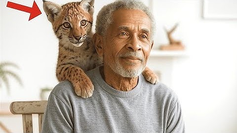 This Rescue Bobcat Cub Is a Born Comedian – Try Not to Smile at Her Goofy Antics!