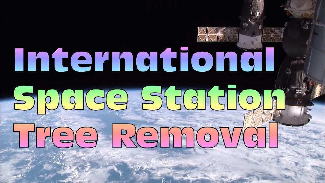 International Space Station Tree Removal Prank Call Youtube