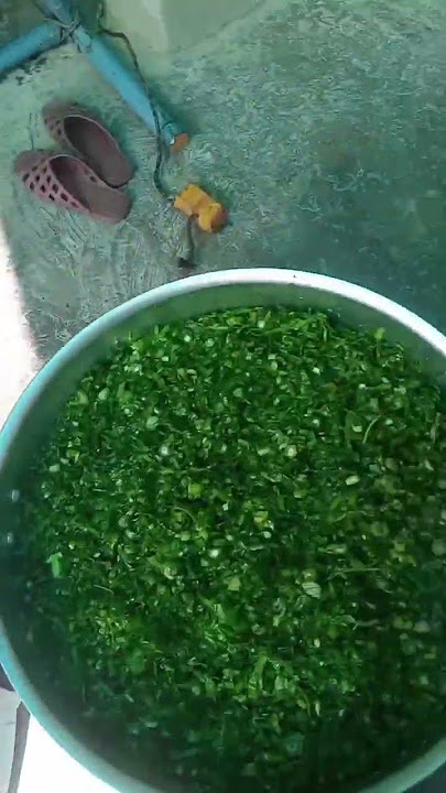 saag banay k tarika#viral #ytshorts