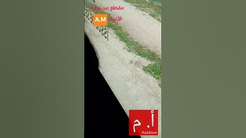 ما تيسر من سورة الأنبياء/  مقتطف من صلاة التراويح.