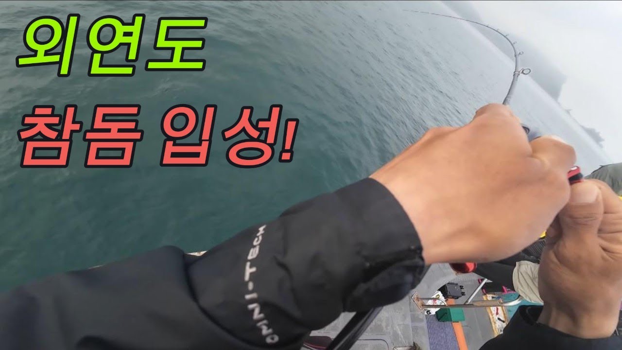 참돔 타이라바 외연도 시즌 스타트