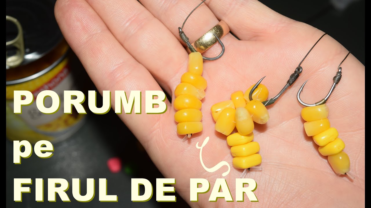 PESCUIT LA CRAP / Cum se pune PORUMBUL pe firul de par