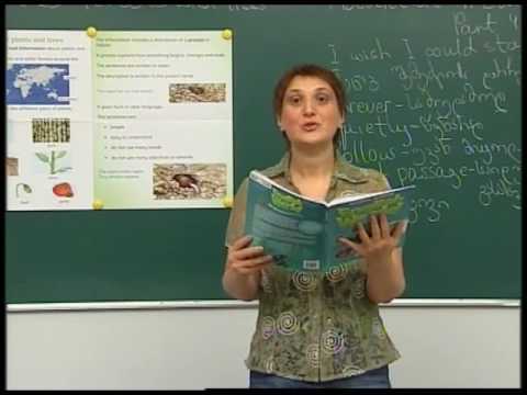 Unit 10 Class Composition. Adventure in Zarula (part 4)