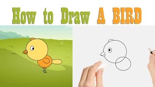 How to Draw A Bird : How to draw, art N fun activity for kids