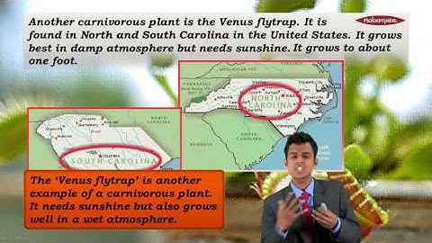 State Board English-Std V,English,Demo Video