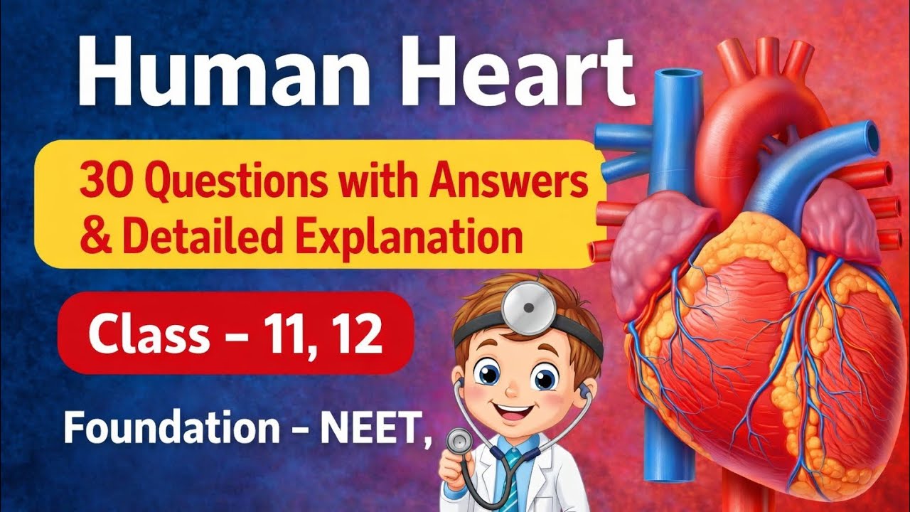 Human Heart - Questions with answers and detailed explanation - Foundation NEET MHTCET 11 12
