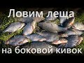 Лещ на боковой кивок | Весна | Река | Летняя мормышка