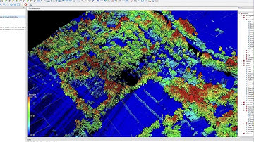 Lidar and Forest Management - Trees counting