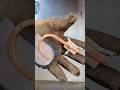 mira todo el cobre que contiene este disparo de calor #taller #scraper #diy #copper