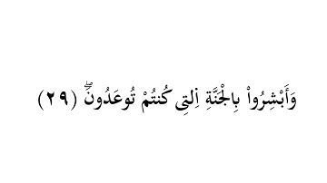 كروما شاشه بيضاء القرآن الكريم🌙ماتيسر من سورة فصلت 🌙إن الذين قالوا ربنا الله..📖Surah Fussilat📖
