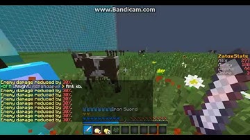 Zatoxpvp hacker #3