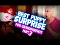 Best Puppy Surprise for Grandparents & Elderly Compilation Part 3 | Tissues | Surprise Puppy React!