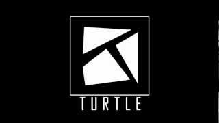 Turtle // New Intro