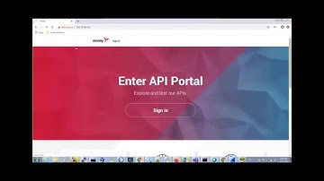How to install API Portal in a custom location