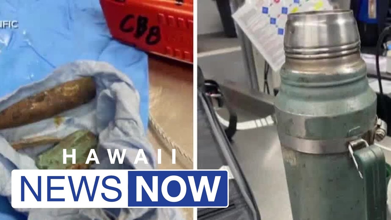 TSA discovers antiaircraft ammunition in checked bag at Honolulu