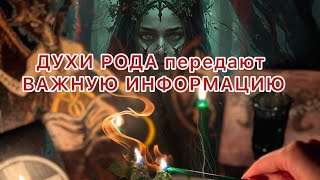 ❤️💥ДУХИ РОДА передают ВАЖНУЮ ИНФОРМАЦИЮ. Таро расклад!