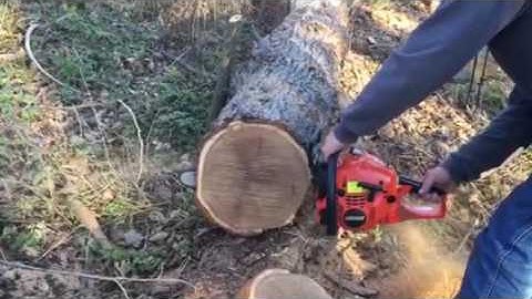 Echo 501P trial 1 porting