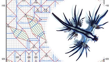 Live designing with BP Studio