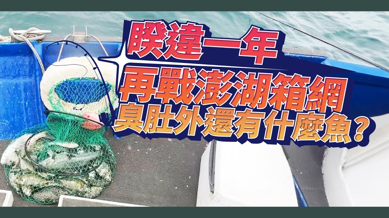 澎湖箱網釣魚只有臭肚嗎?｜最強獨家秘技!?｜遠征澎湖釣魚｜章.參 Fishing in beautiful Penghu, Taiwan