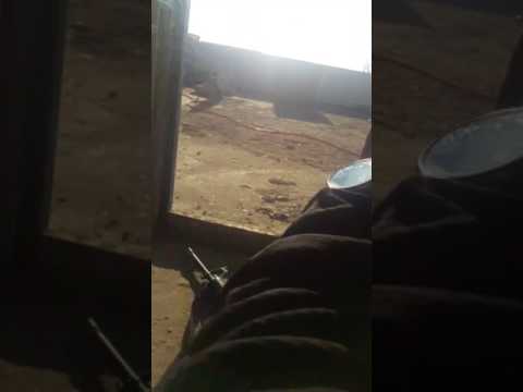 ابطال الفرقه الولة يحاصرون داعشي بصطح احد منازل الموصل