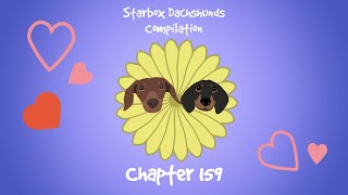 Starbox Dachshunds Compilation Chapter 159 by The Starbox Dachshunds  7,282 views 1 month ago 1 minute, 9 seconds