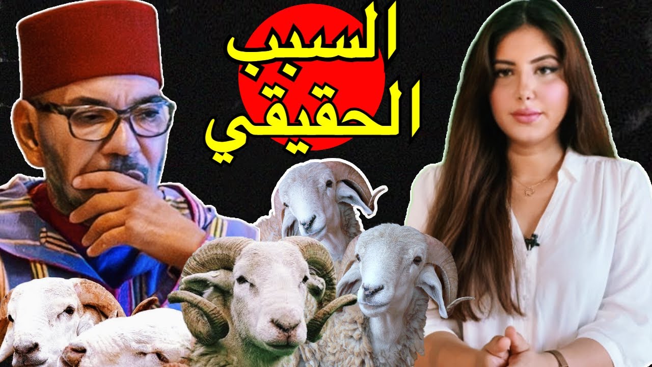 دنيا فيلالي | قرار الملك إلغاء شعيرة عيد الأضحى بالمغرب - الأسباب الحقيقة الخفية -