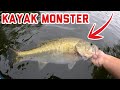 Kayak Fishing In Late Summer (Big Bass Caught)
