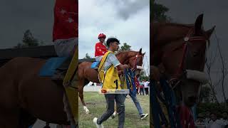 SAWAHLUNTO DERBY 2023 ( PACUAN KUDO )  #jocky #horse