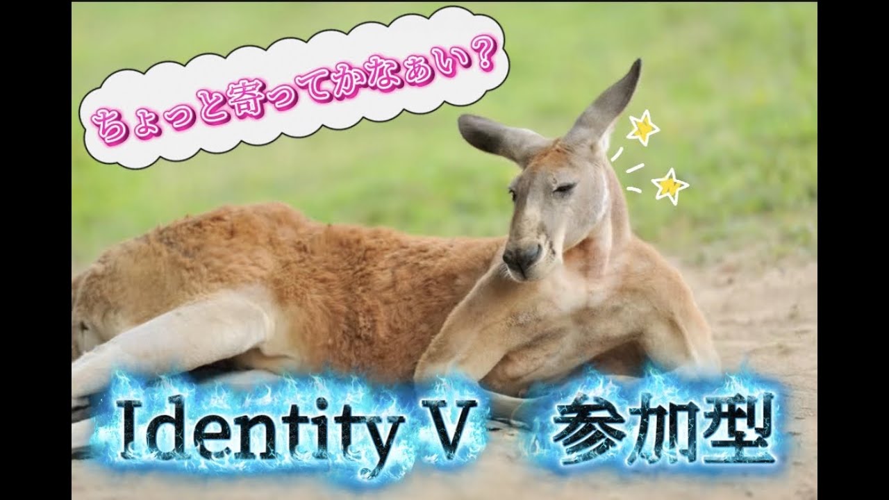 【第五人格】参加型 ランク　マルチ　28　【5段3】