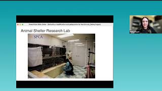 Maddie's Insights: Gabapentin and Behavior Modification for Shelter Cats - webcast