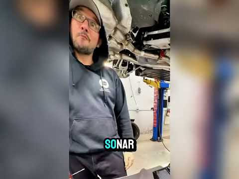 Duncan S European Automotive Reviews