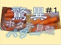 【驚異】農薬除去剤〜人参をつけてみる