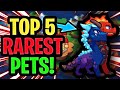 Prodigy Math - THE TOP 5 RAREST PETS!!! [MUST SEE]