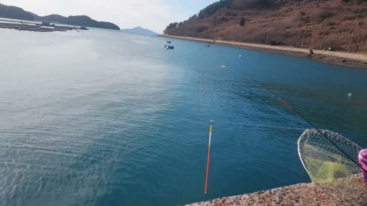 통영척포 방파제대물시즌 걸면4짜이상~~