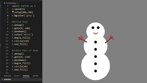 Draw Snowman | Full Python Code || Python Turtle