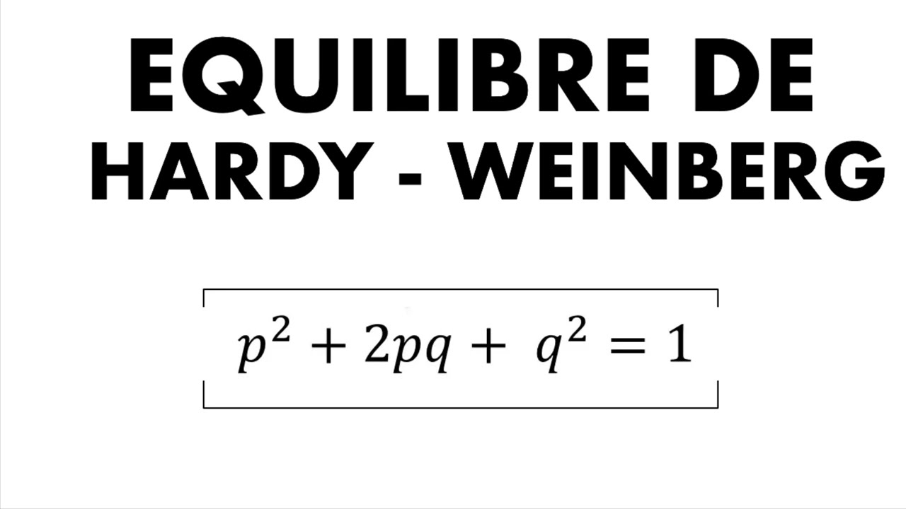 LE MODÈLE DE HARDY - WEINBERG + EXERCICES