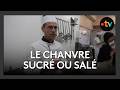 Du chanvre à la cantine : des ateliers culinaires pour les chefs des collèges