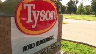 Tyson food lawsuit Profile