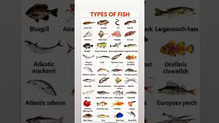 types of fish  Fish name