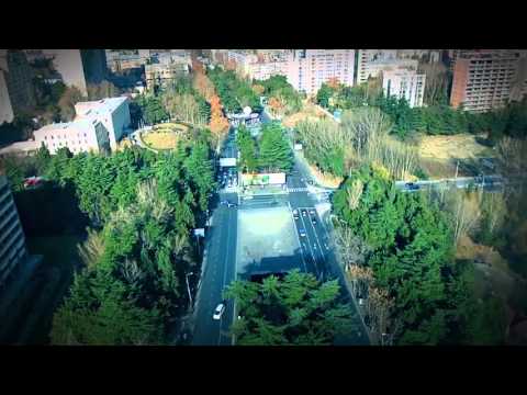 მიხეილ თამარაშვილის ქუჩა